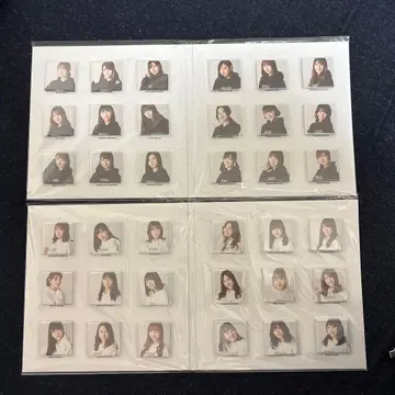 노기자카46 Artworks 대략 전부전 멤버 마그넷 세트