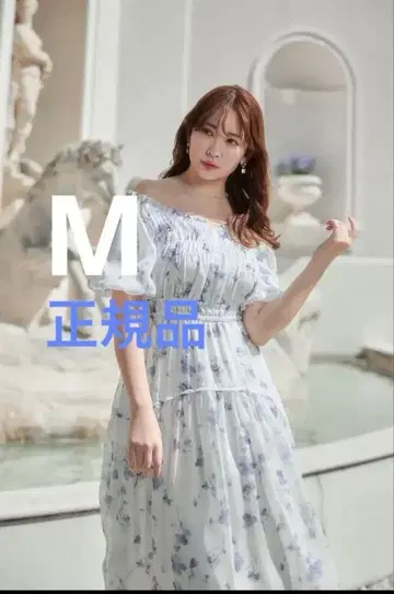 Herlipto Belle Jardin Chiffon Dress M