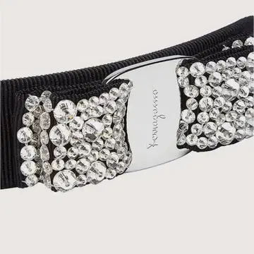Salvatore Ferragamo 머리핀 비쥬