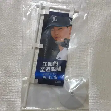 사이타마 세이부 라이온즈 니시카와 아이야 깃발 압도적 지근거리