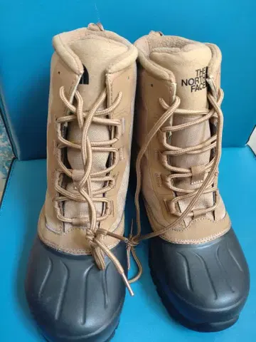 THE NORTH FACE 스노우 샷NF51960