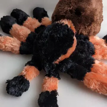 거미 봉제 인형