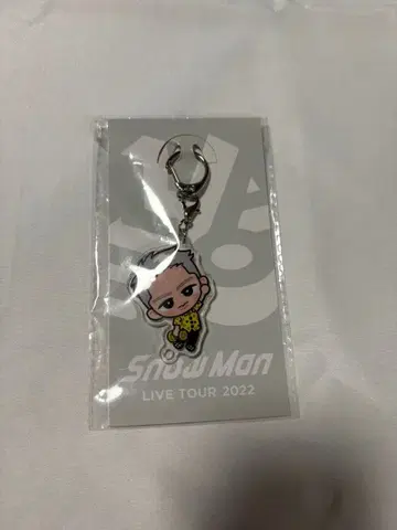 Snow Man LIVE TOUR 2022 아크릴 키링 이와모토 히카루