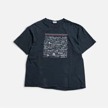 90s Hanes BEFFY 시카고 미술관 아트 T셔츠 XL