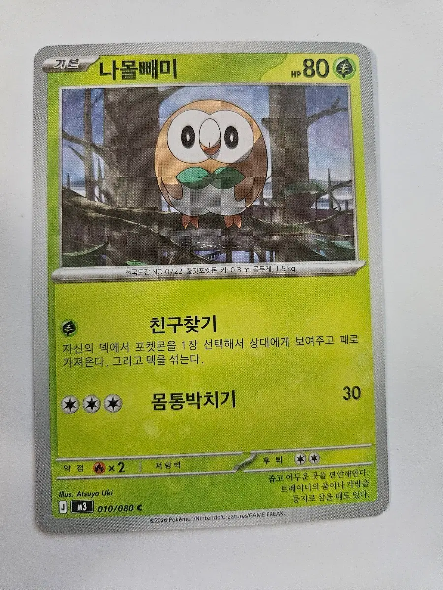 포켓몬카드 나올빼미