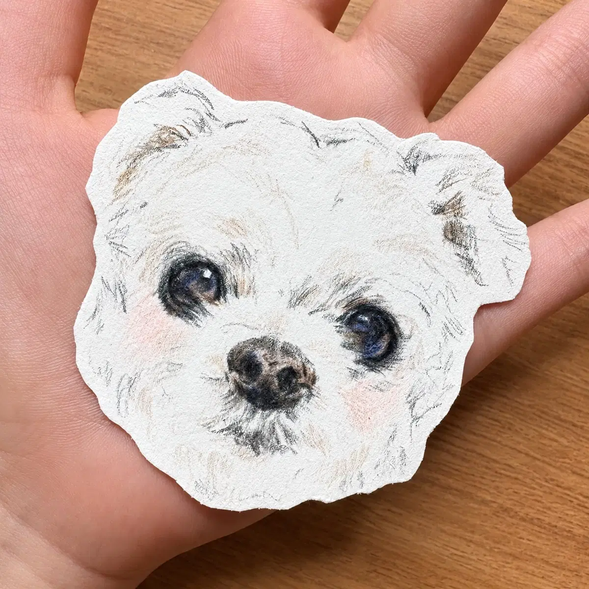 [손그림 커미션] 반려견 초상화 그려드려요!