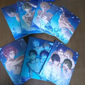 Free DVD 세트