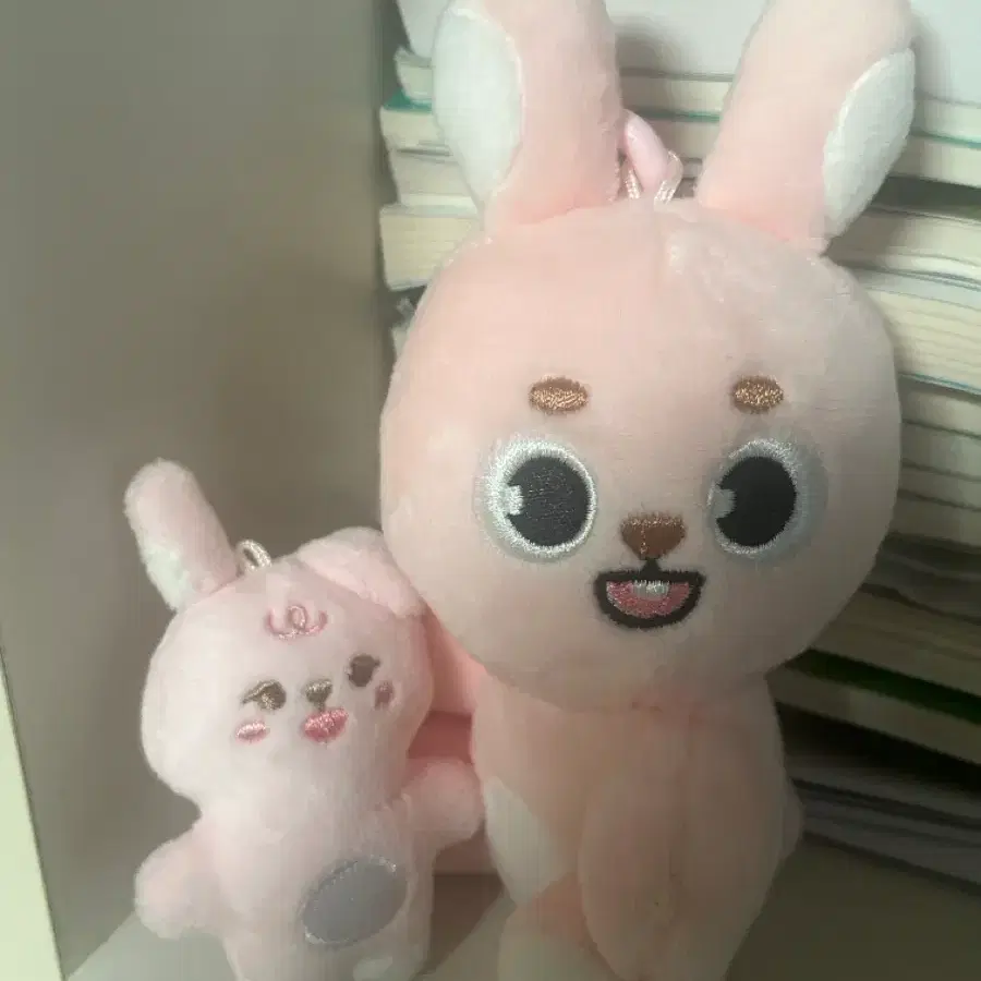 미사용,전시용) 데니멀즈 나안아필 데이식스 원필