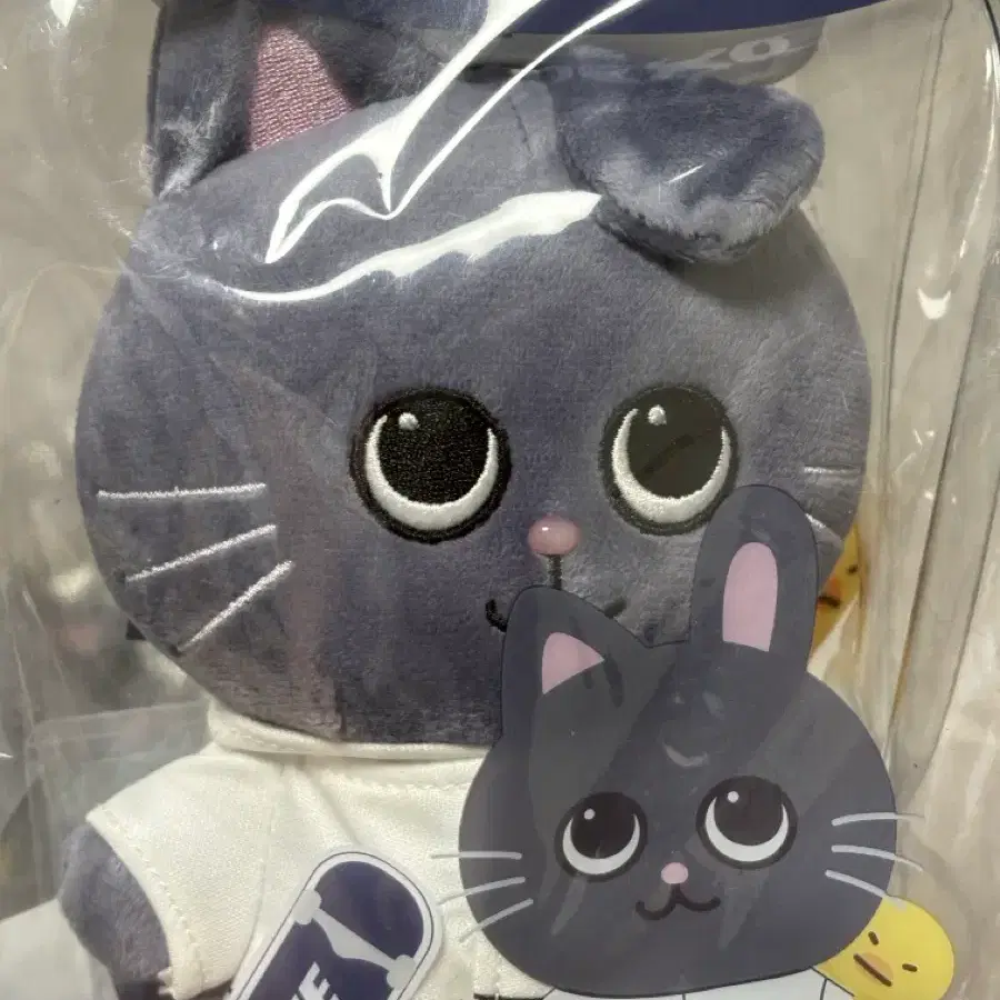 RIIZE 중국 상하이 팝업 공식 16.5cm 토냥덕 인형