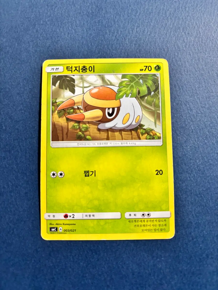 포켓몬카드 턱지충이 일반카드 도감용 덱소스 smC 003/021