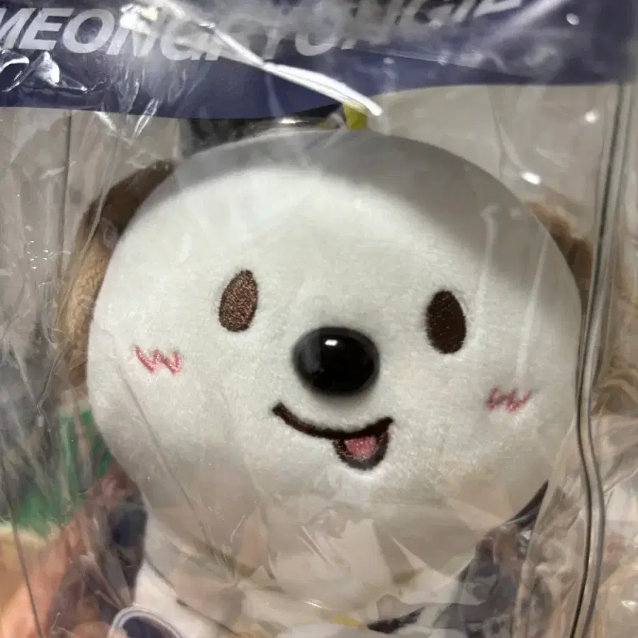 RIIZE 중국 상하이 팝업 공식 16.5cm 멍룡이 인형