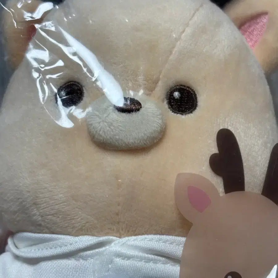 RIIZE 중국 상하이 팝업 공식 16.5cm 우락밤 인형
