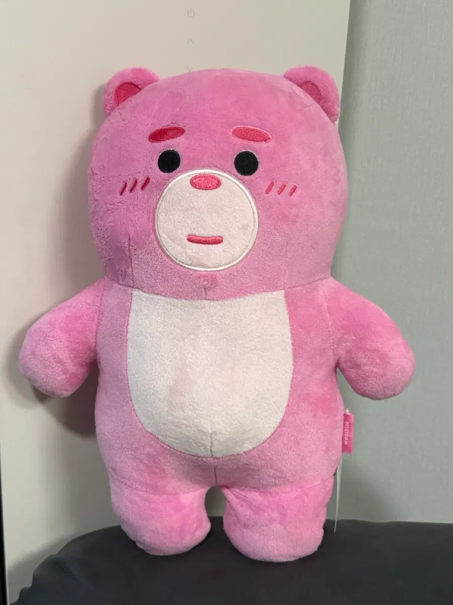 [미사용] 다이소 벨리곰 중형 인형