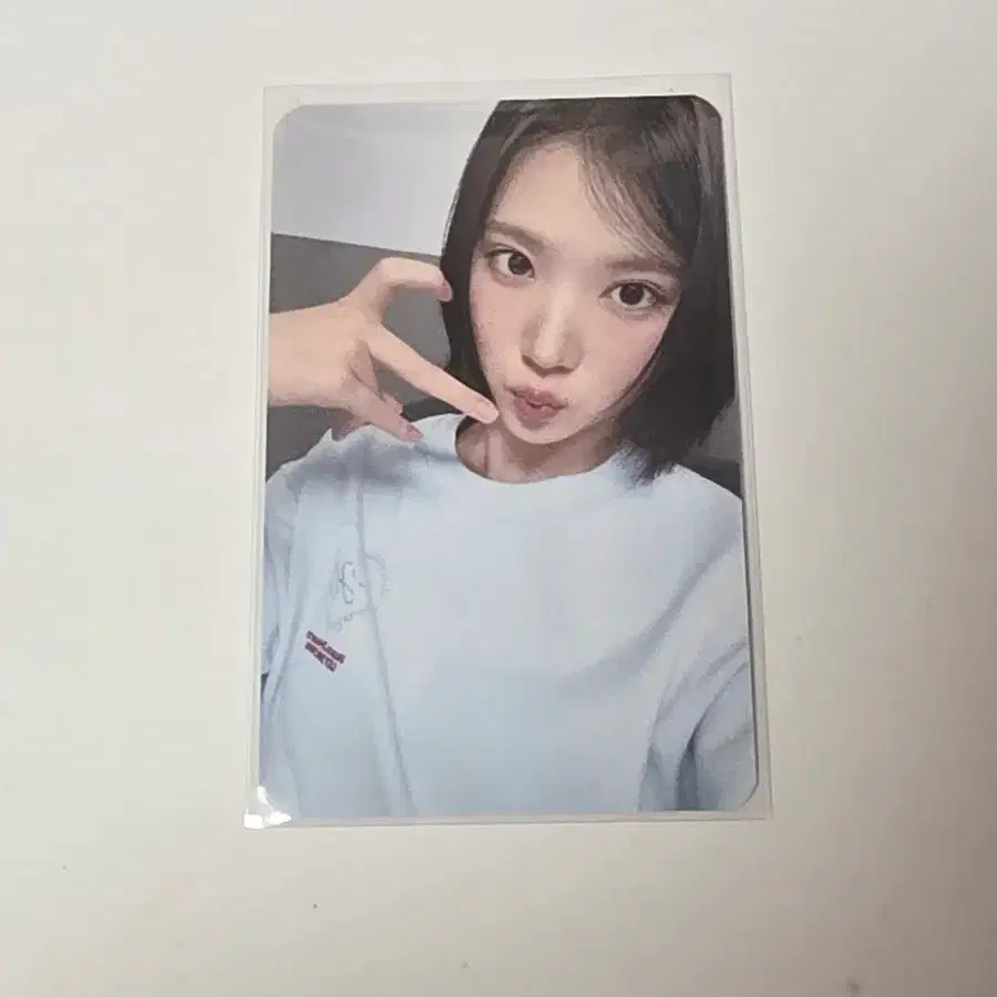 하투하 하츠투하츠 지우 릴리브라운 포카