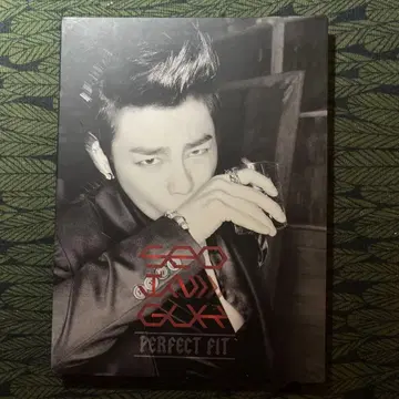 SEO IN GUK PERFECT FIT CD
