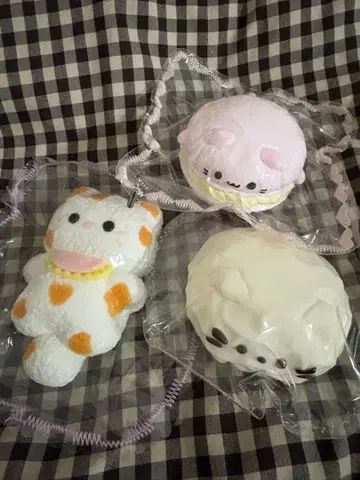 고양이 타바스 스퀴즈