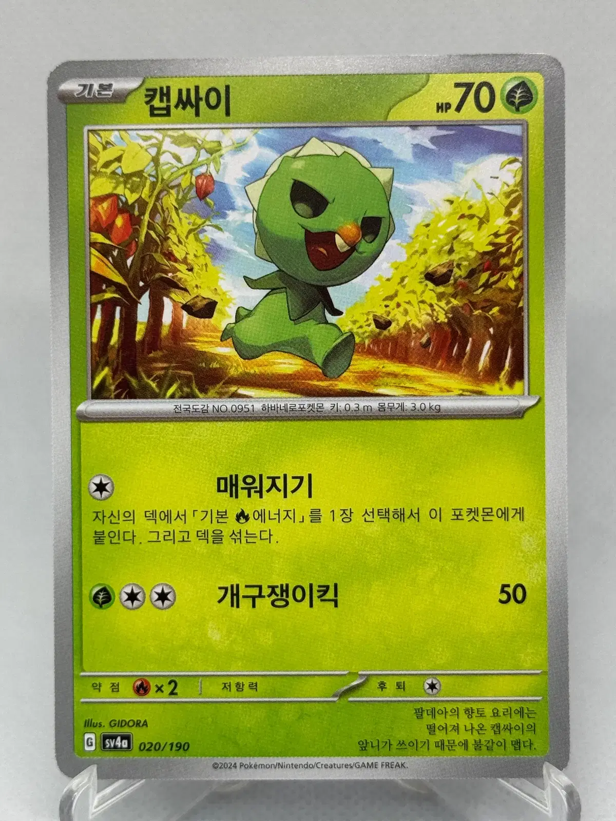 포켓몬카드 한글판 캡싸이 일반카드 [sv4a 020/190] 샤이니트레저