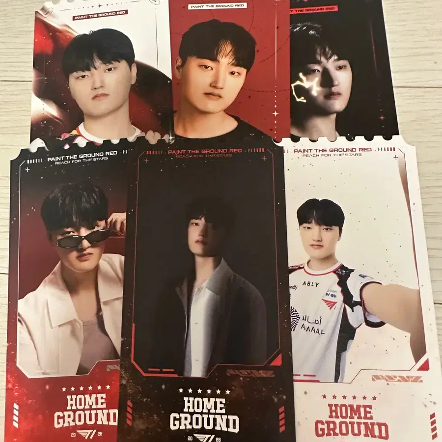 페이즈 티원 홈그 홈그라운드 오리지널 티켓 일괄