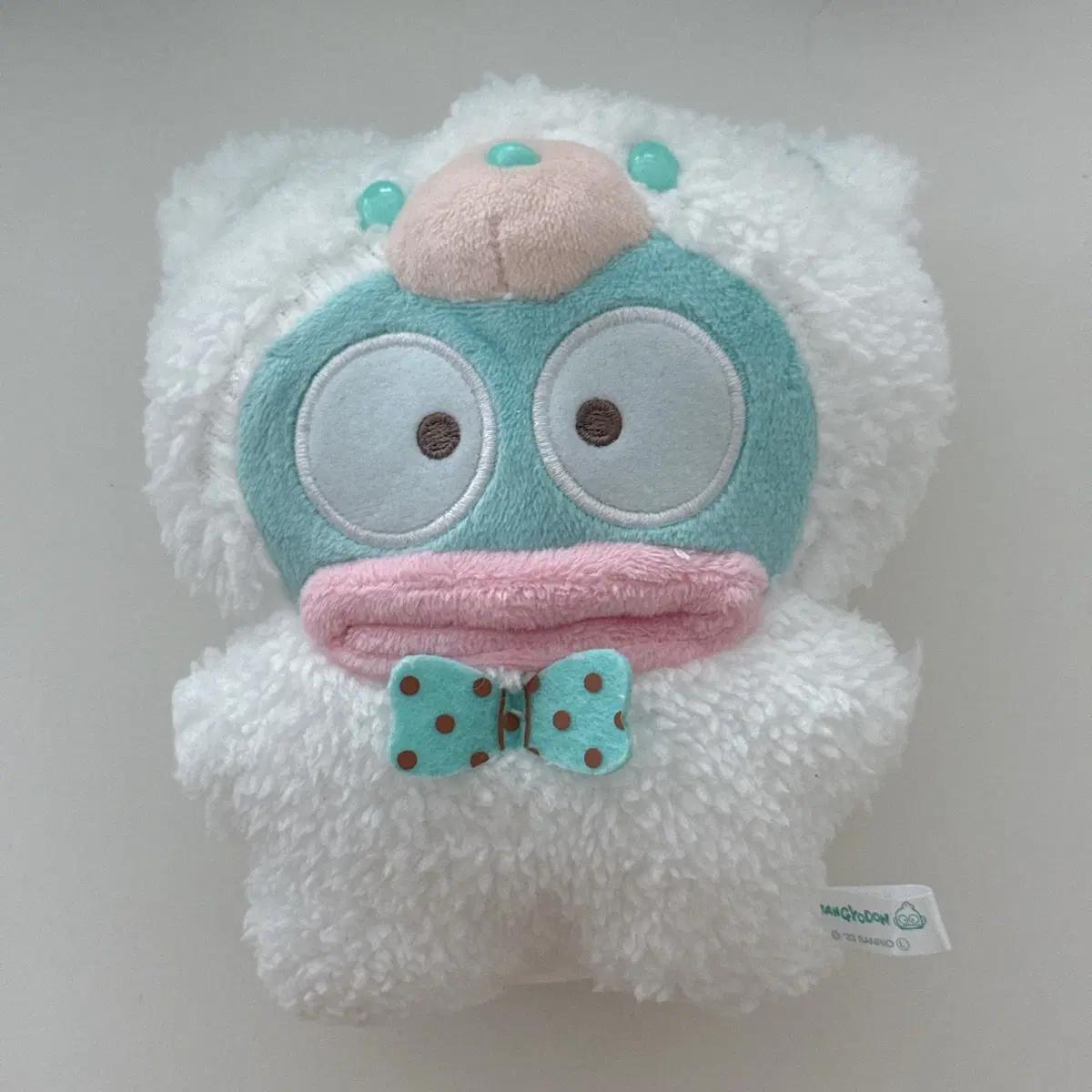 한교동 라떼쿠마 화이트 중형 인형 16cm