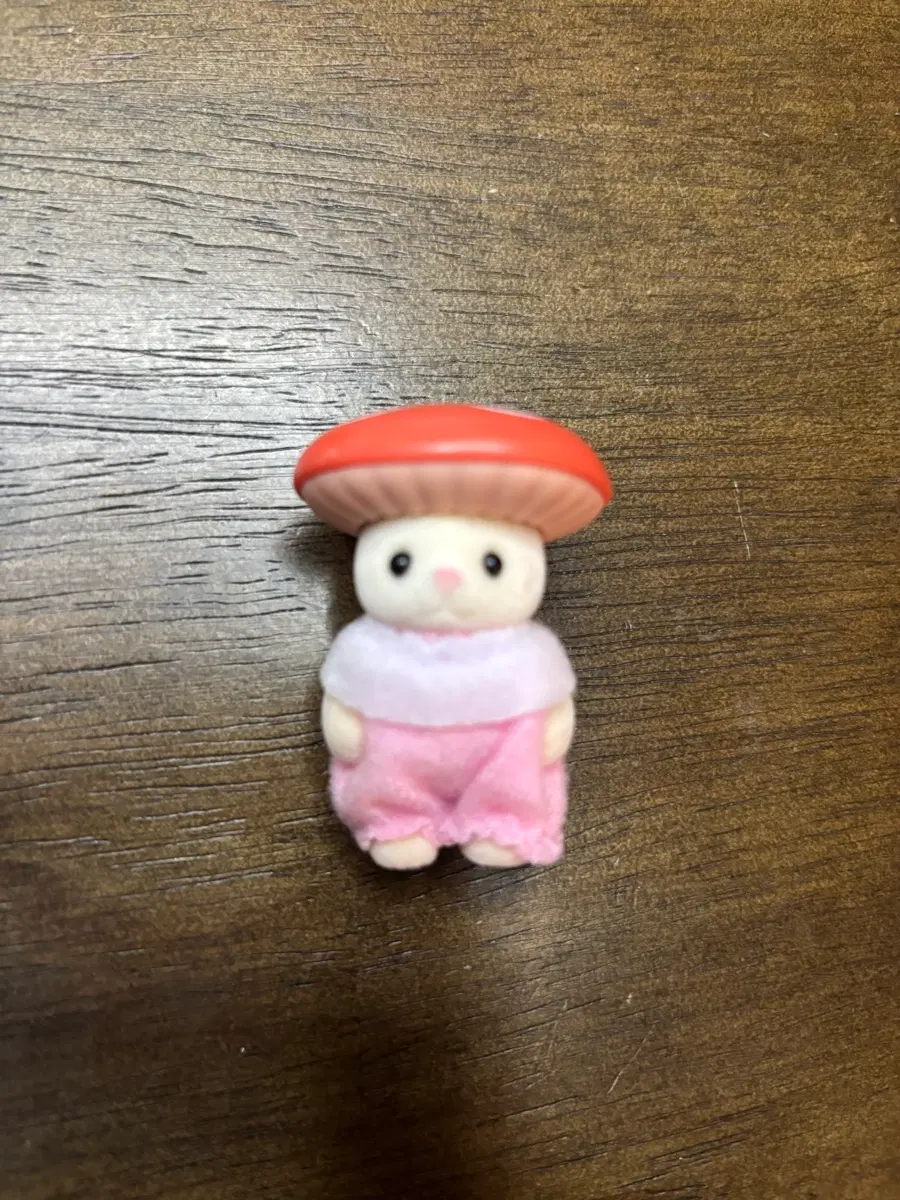 실바니안 블라인드백 비밀의 숲 실크캣 버섯