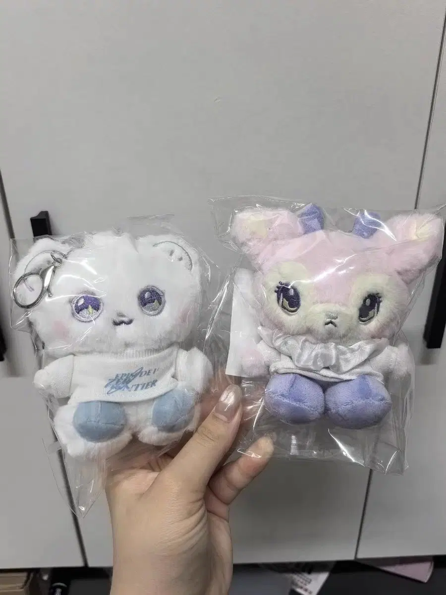 예판 엔믹스 방콕 인형 해원