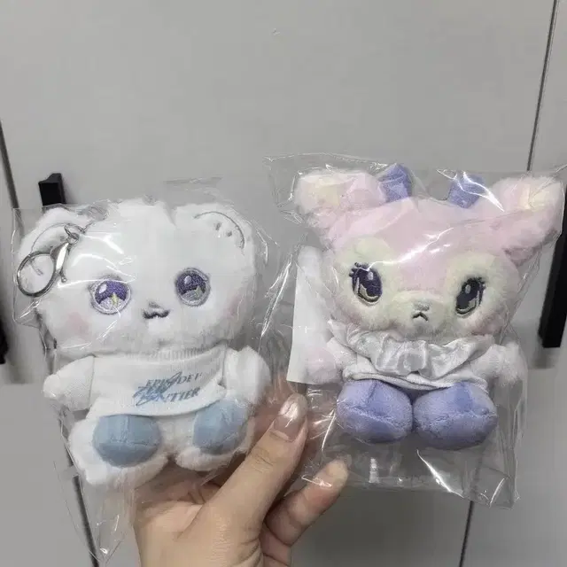 예판 엔믹스 방콕 인형 해원