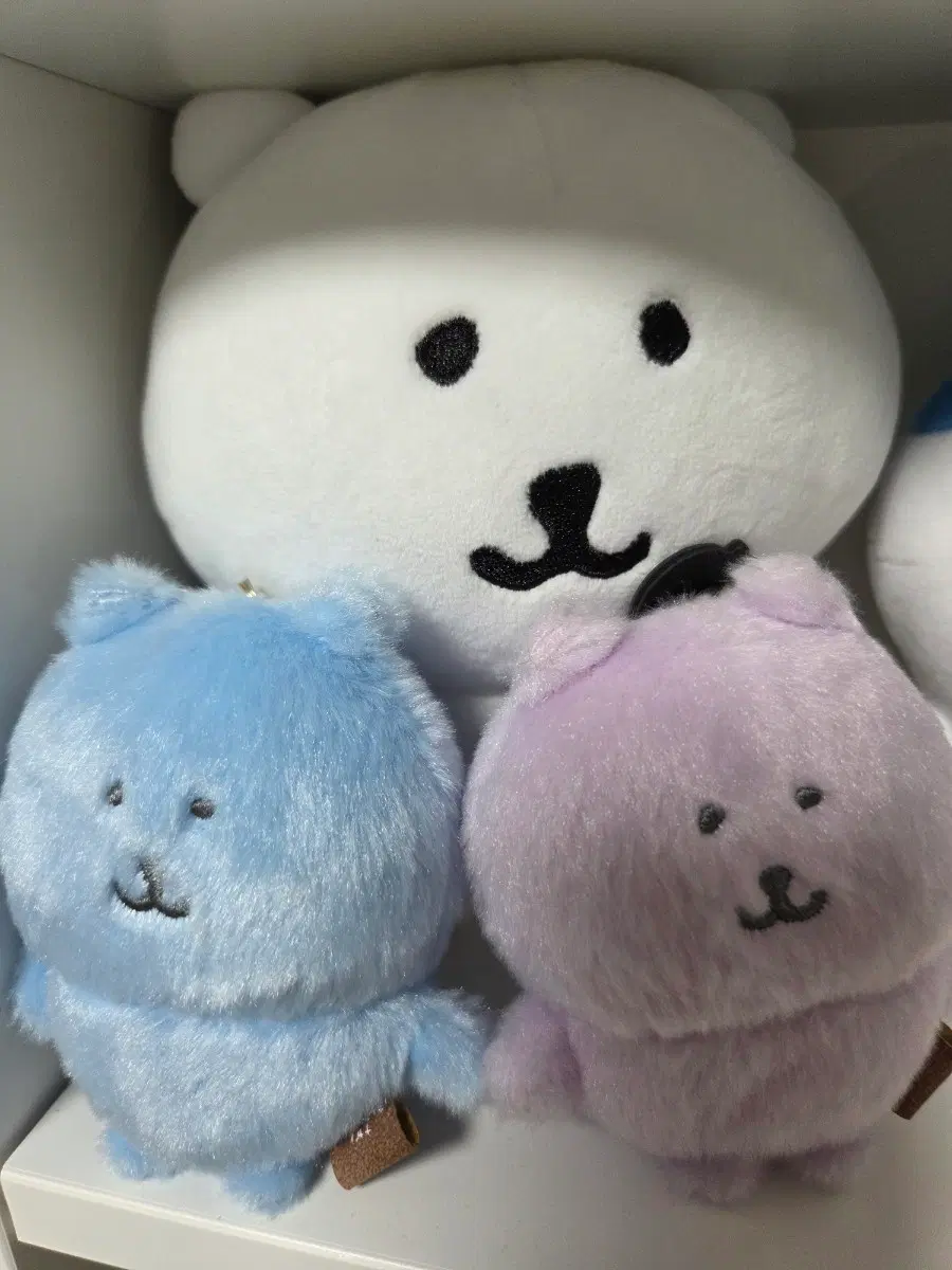 농담곰 인형 컬러농담곰 하늘 보라 농담곰 s