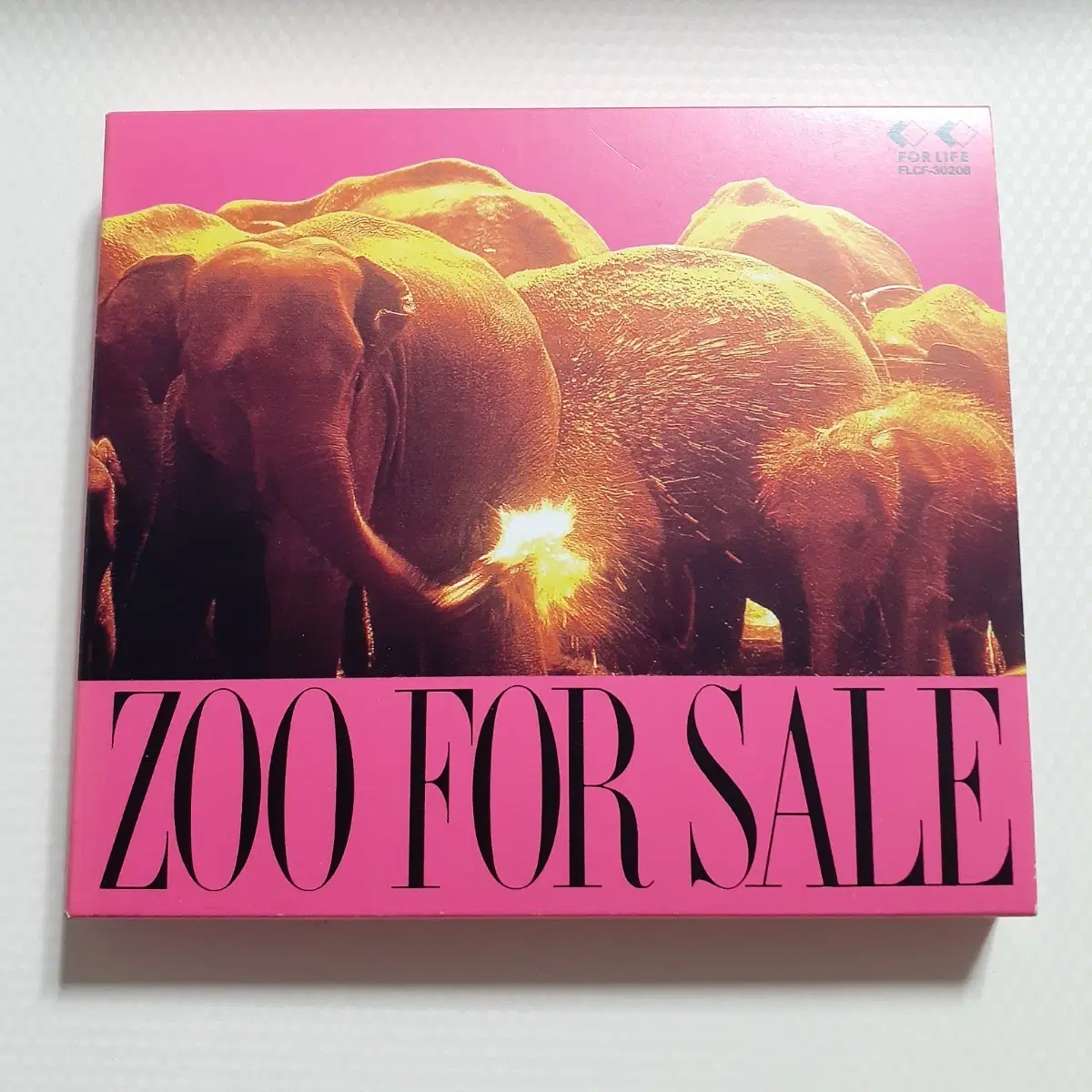(K-POP 댄스의 교과서) 일본 그룹 ZOO 베스트앨범 CD FOR SALE 한정반 (사진집 포함)
