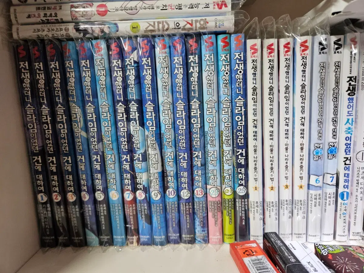 전생슬 만화책