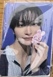 에이티즈 애니티즈 팝업 떵별이 포카 - 성화