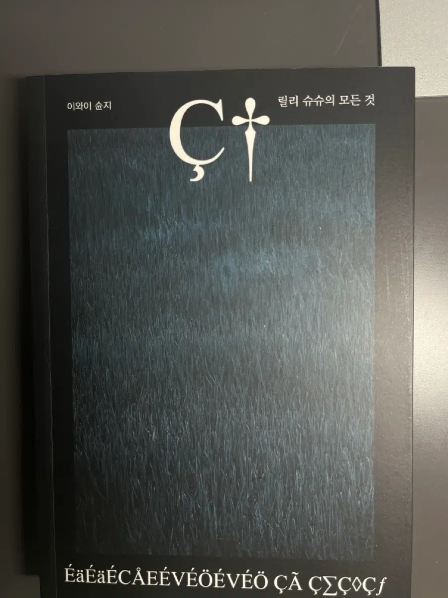 릴리슈슈의 모든것 번역본 소설책 도서