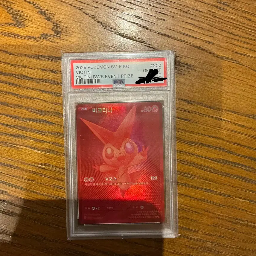 포켓몬카드 비크티니 bwr psa 10
