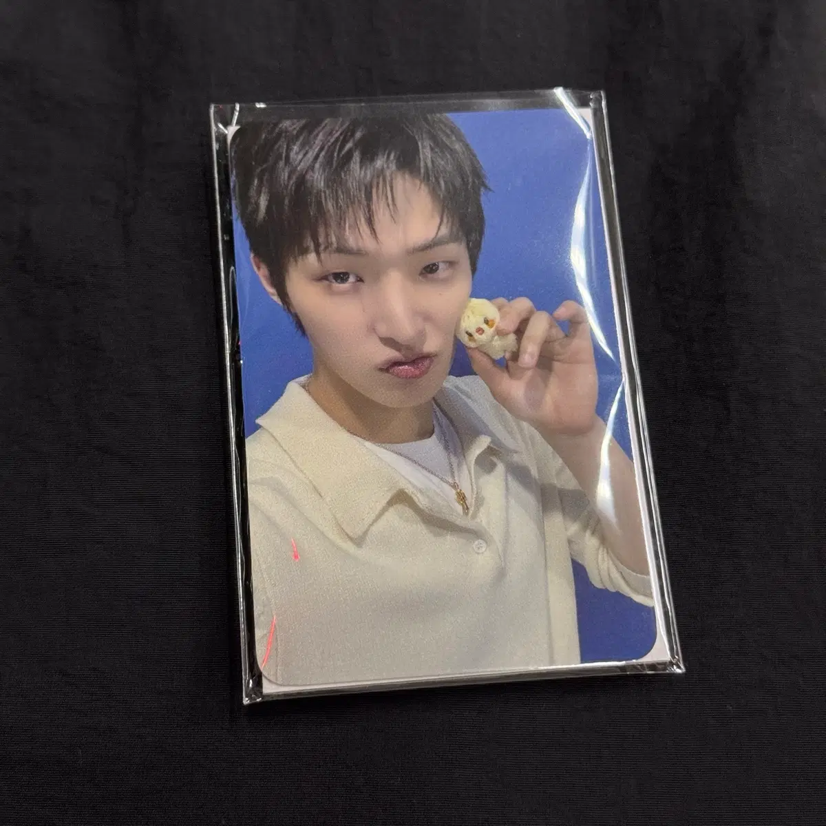 에이티즈 애니티즈 팝업 타이니 애니티즈 미니인형 민기 포카