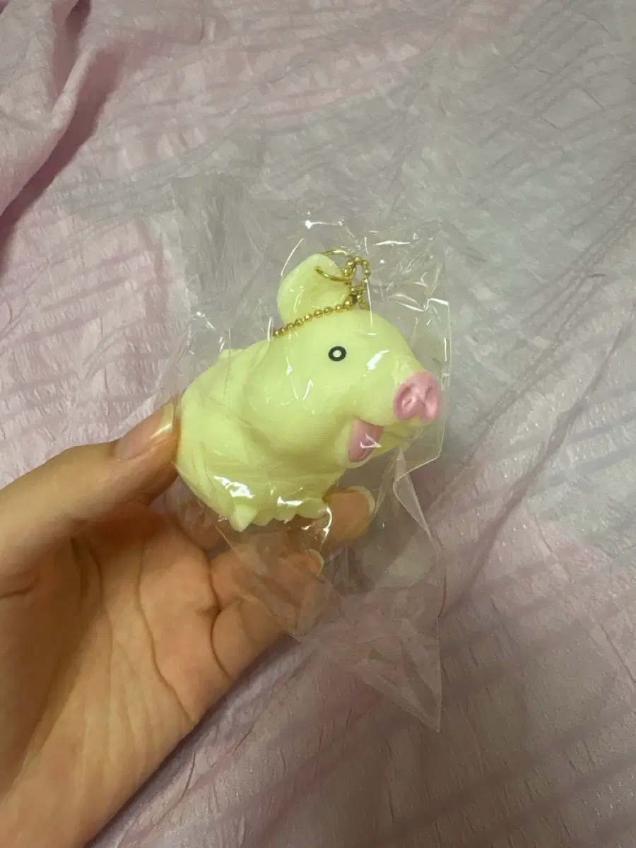 돼지 삑삑이 가챠