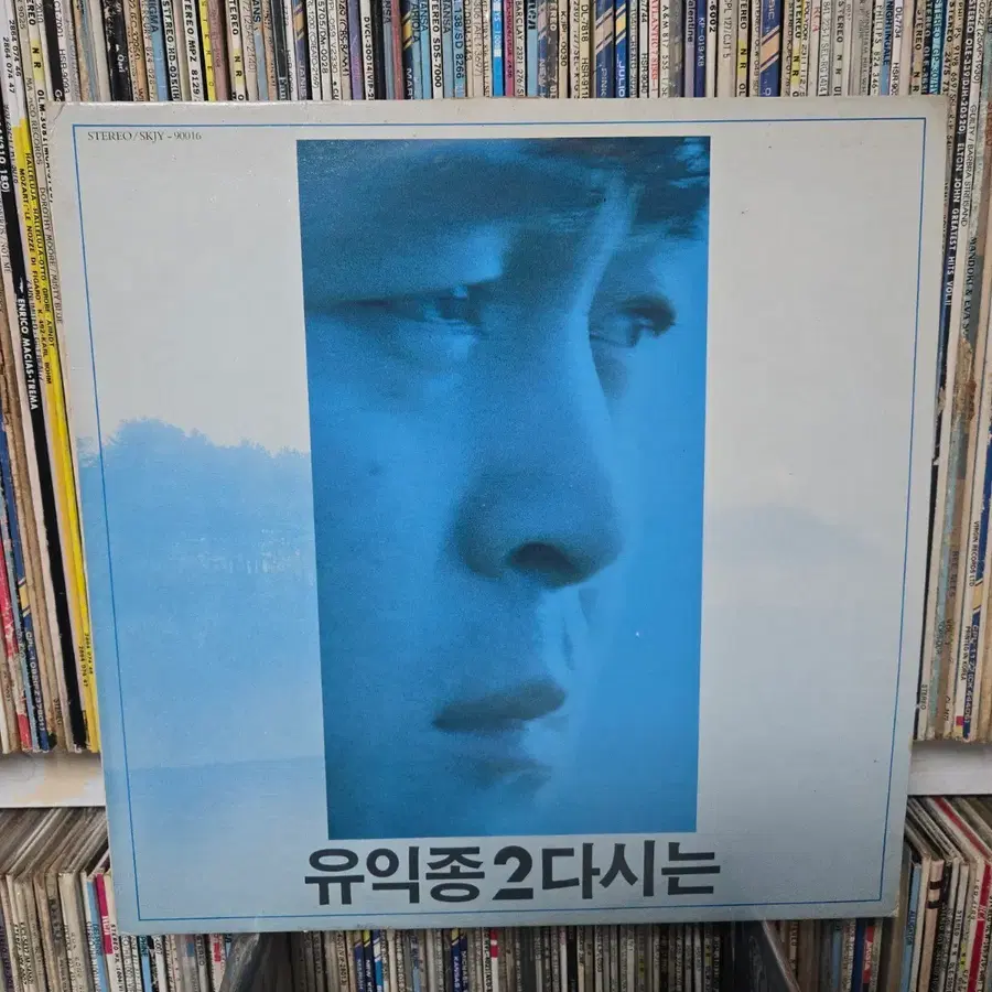 유익종 LP판