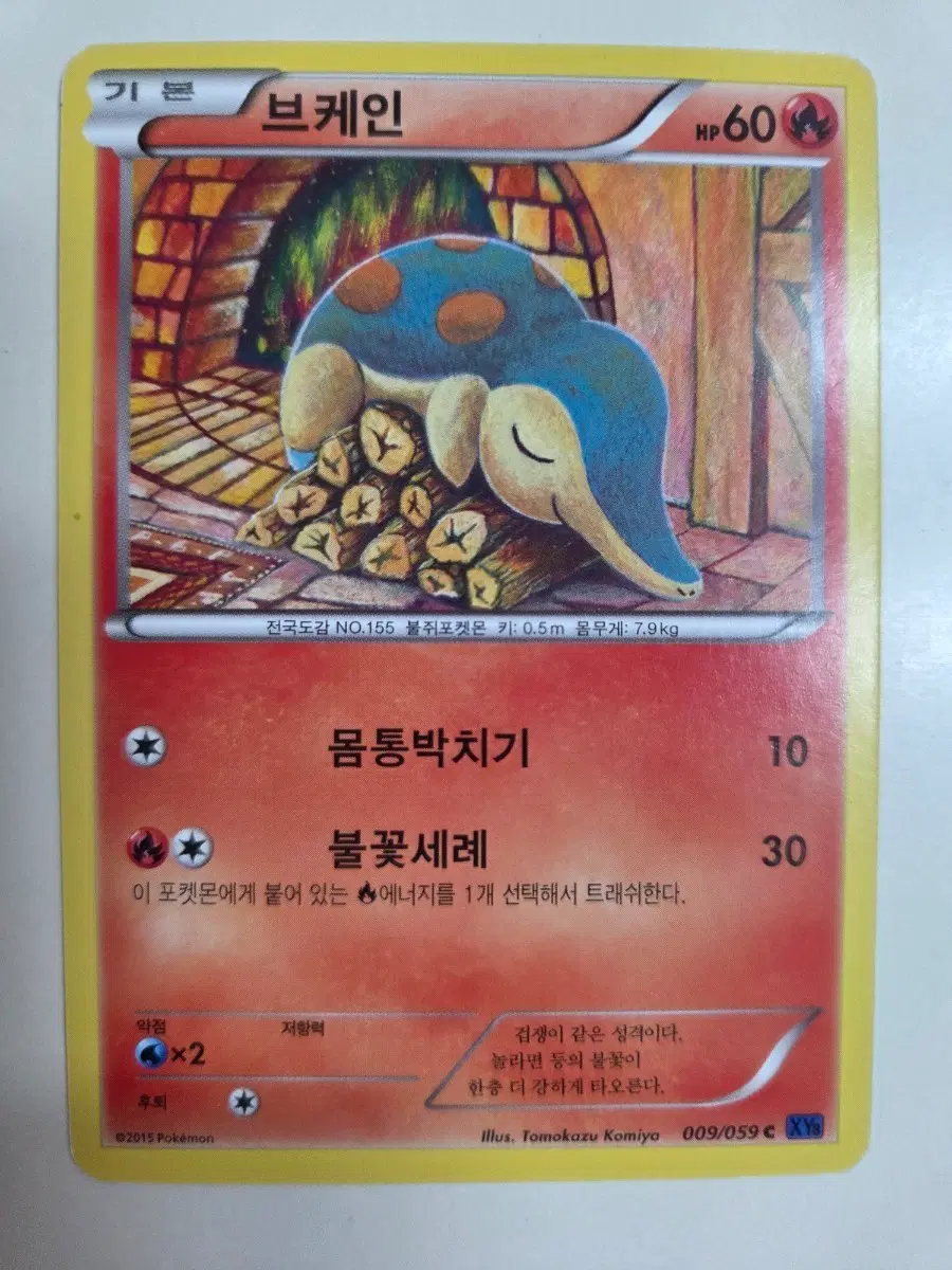포켓몬 카드 브케인 XY 009/059c