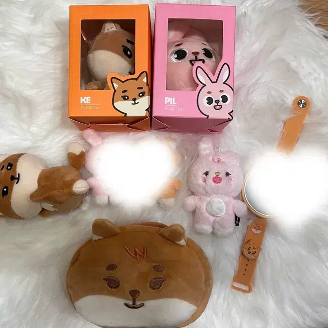 데이식스 데니멀즈