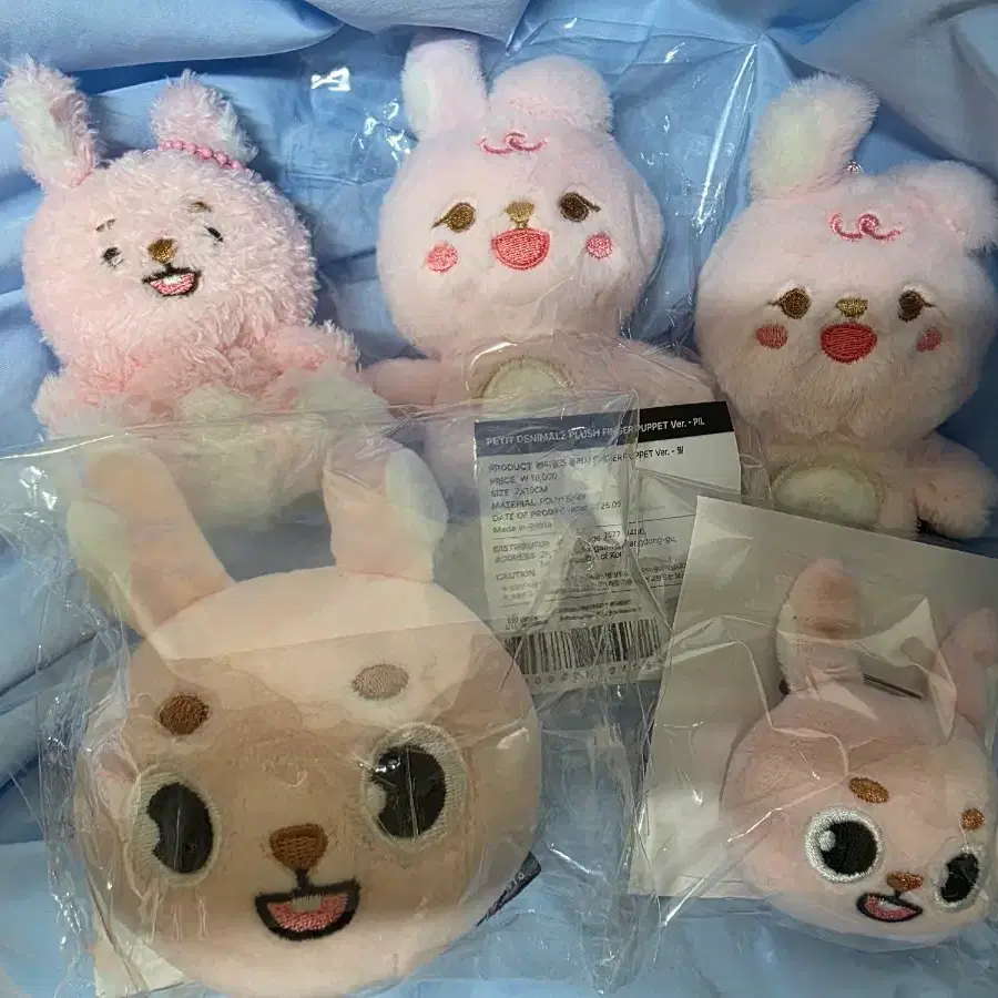 데이식스 필끼 일괄판매