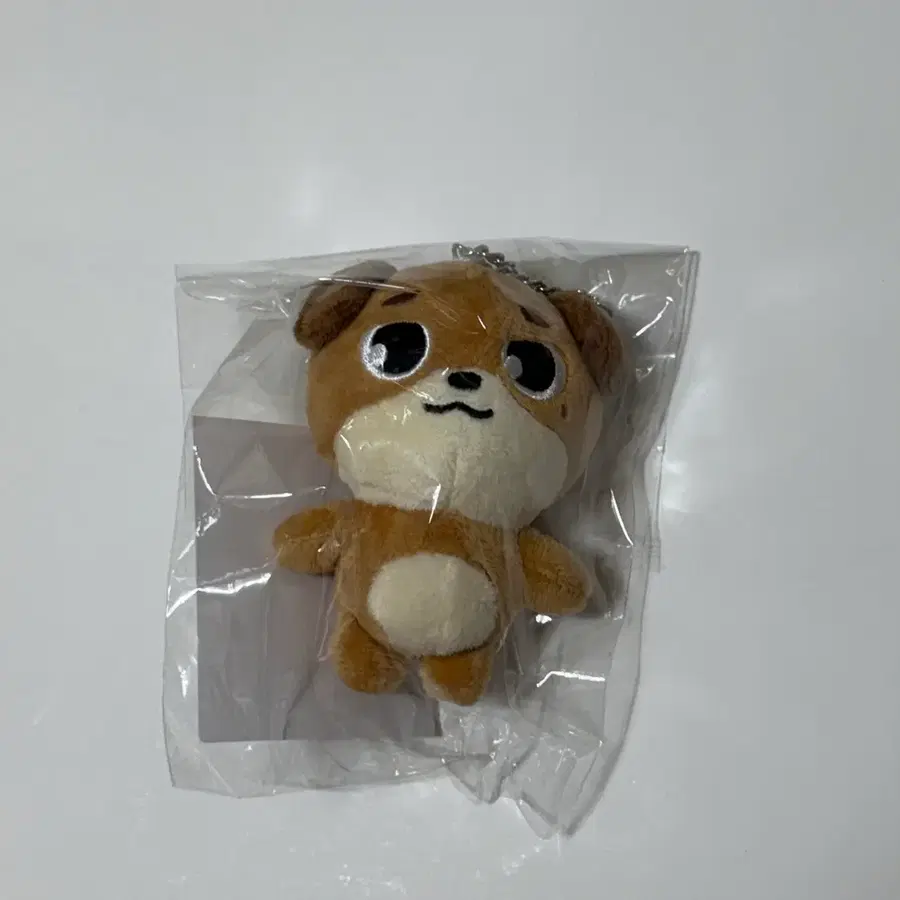 데이식스 데니멀즈 요코하마 돈 백참