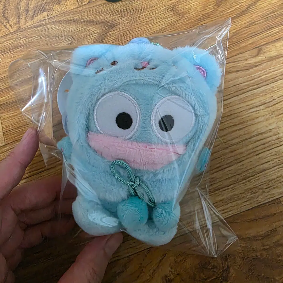 한교동 고양이 인형 키링
