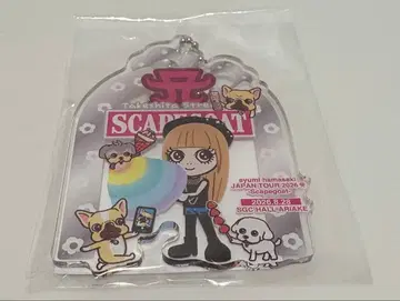 하마사키 아유미 JAPAN TOUR 2026 회장 한정판 아크링 키링 8/28 아리아케
