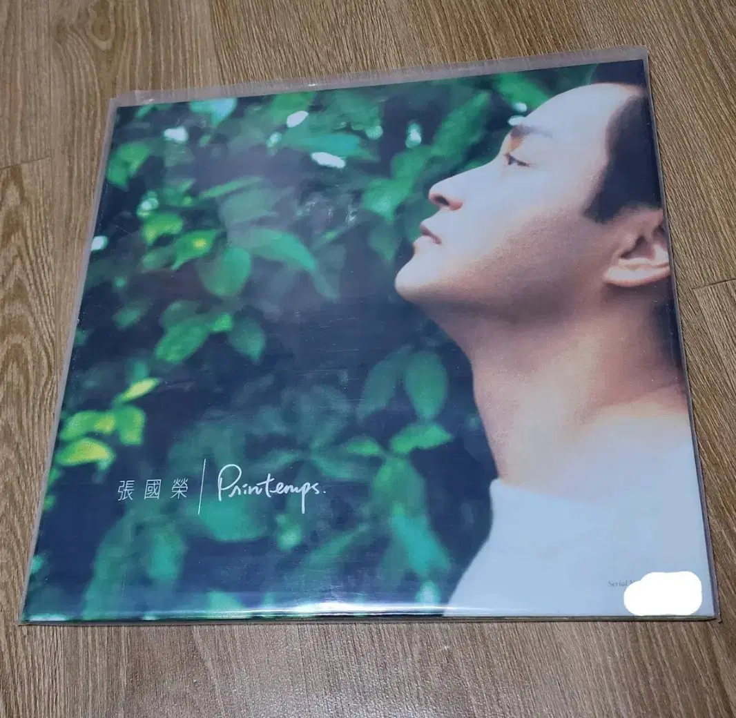 장국영 쁘렝땅 바이닐 lp 엘피