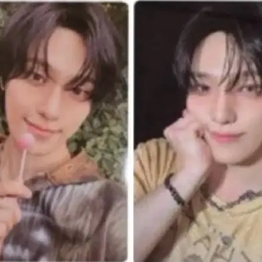 세븐틴 디노 피철인 길보드 2장일괄양도 회장한정