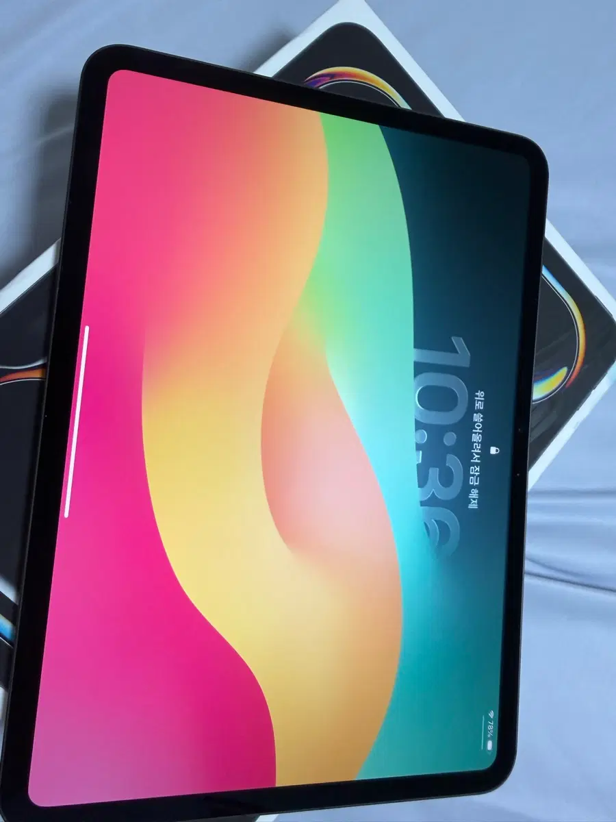 아이패드 프로 11M4 1TB nano texture 와이파이셀룰러