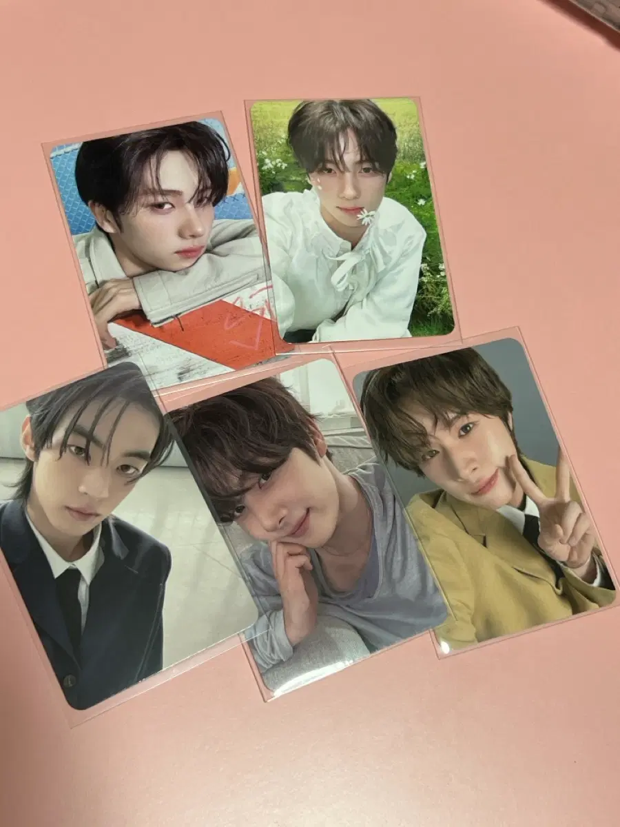 널따라가 투어스 영재 도훈 경민