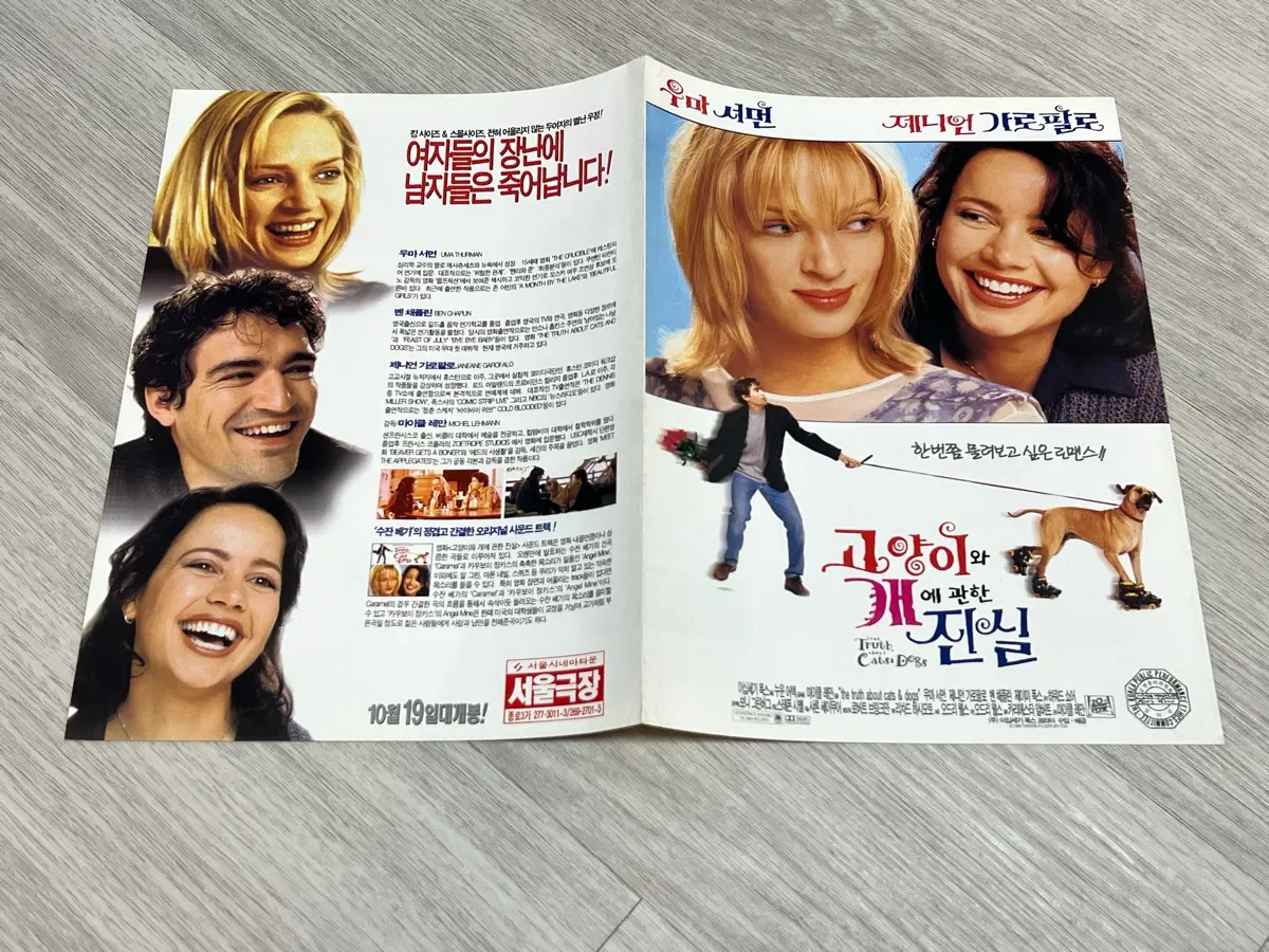 영화 고양이와 개에 관한 진실 전단지