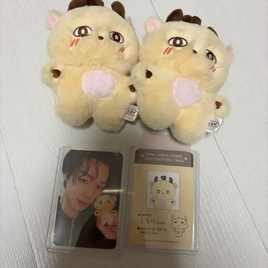 박지훈 소심이