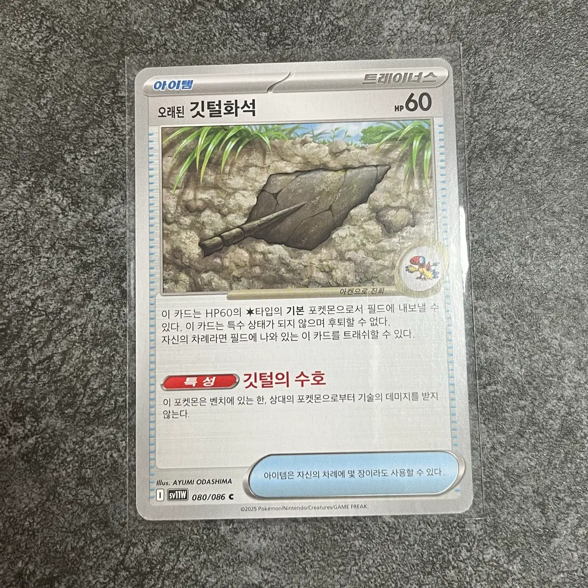 포켓몬카드 오래된 깃털화석 [15장보유]
