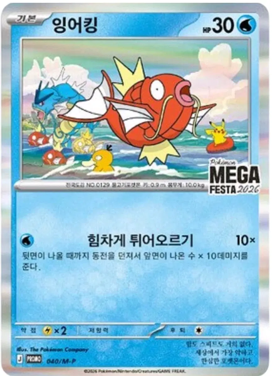 잉어킹 프로모 카드 판매