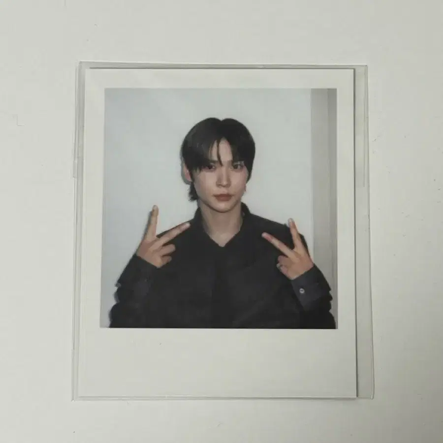 2025 라이즈 시그 폴라 은석